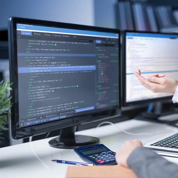 Bridge | Demo Site for Software Development